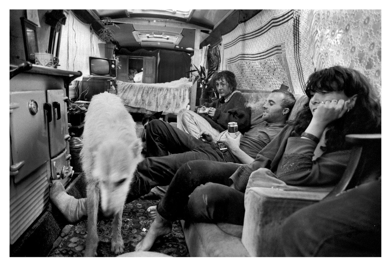 People inside a trailer with a dog
